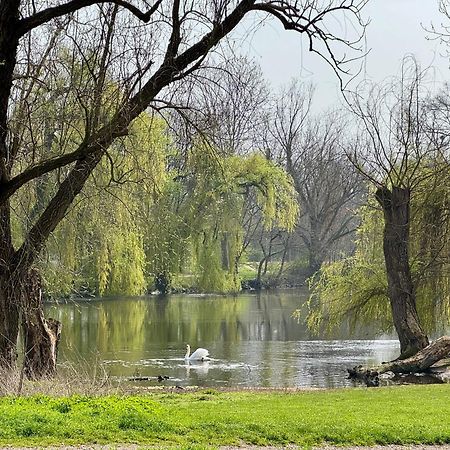 Strasbourg, Appartement Cosy Dans Cadre De Verdure Extérieur photo