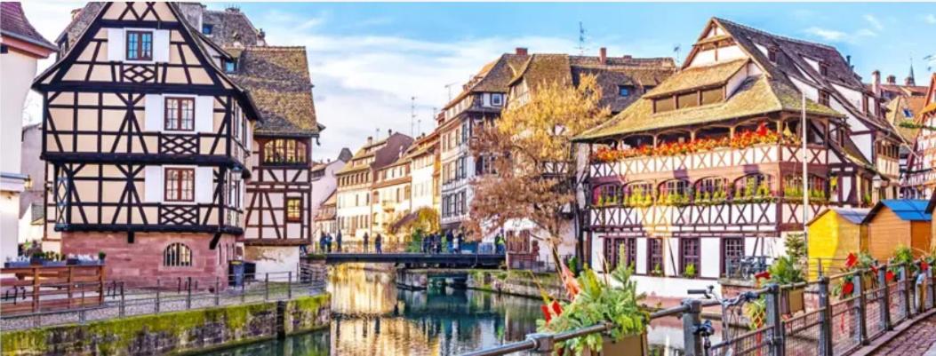 Strasbourg, Appartement Cosy Dans Cadre De Verdure Extérieur photo