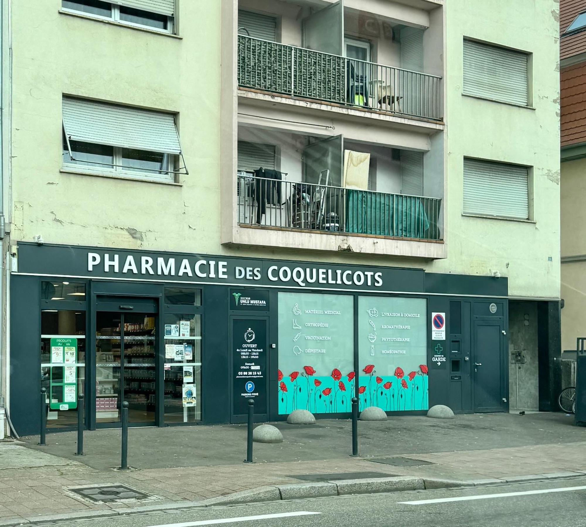 Strasbourg, Appartement Cosy Dans Cadre De Verdure Extérieur photo